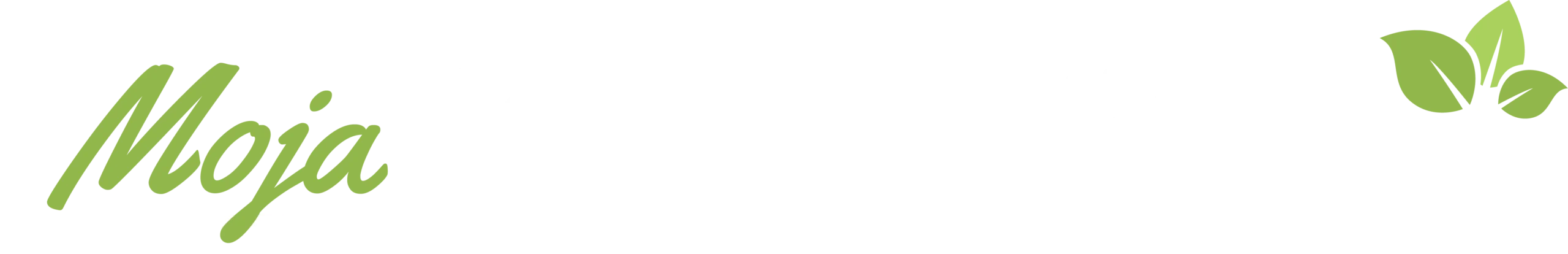 mojaracunovodkinja-logo-white